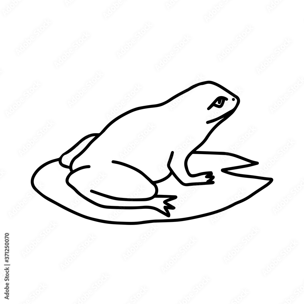 Hand-drawn black vector illustration of one frog sitting on a water lily leaf on a white background Hand-drawn black vector illustration of one frog sitting on a water lily leaf on a white background