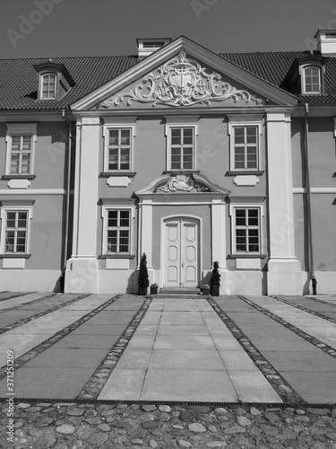 Fototapeta Naklejka Na Ścianę i Meble -  The castle. Artistic look in black and white.