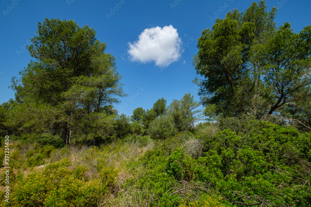 Sa Comuna, Lloret de Vistalegre, también conocido como Llorito, situado en el centro geográfico de la isla de Mallorca, balearic islands, Spain Sa Comuna, Lloret de Vistalegre, también conocido como Llorito, situado en el centro geográfico de la isla de Mallorca, balearic islands, Spain