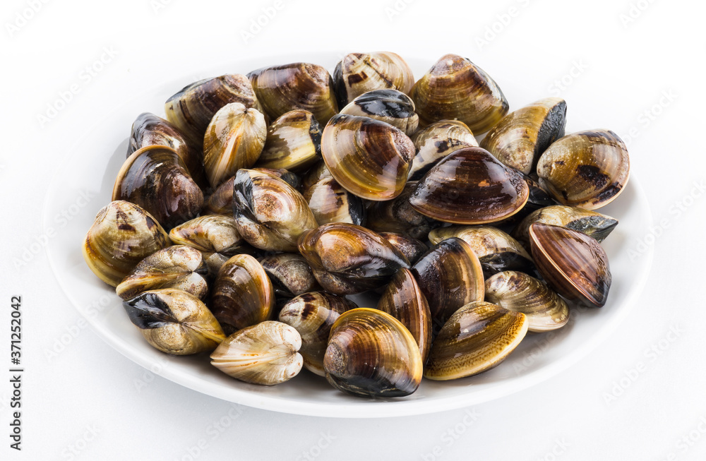 Stacked fresh raw clams on white background Stacked fresh raw clams on white background