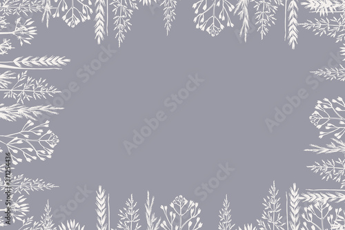 Beautiful design with a winter background for your text, illustrations for postcards and invitations. Dry white grass frame covered with hoarfrost. Botanical illustration.