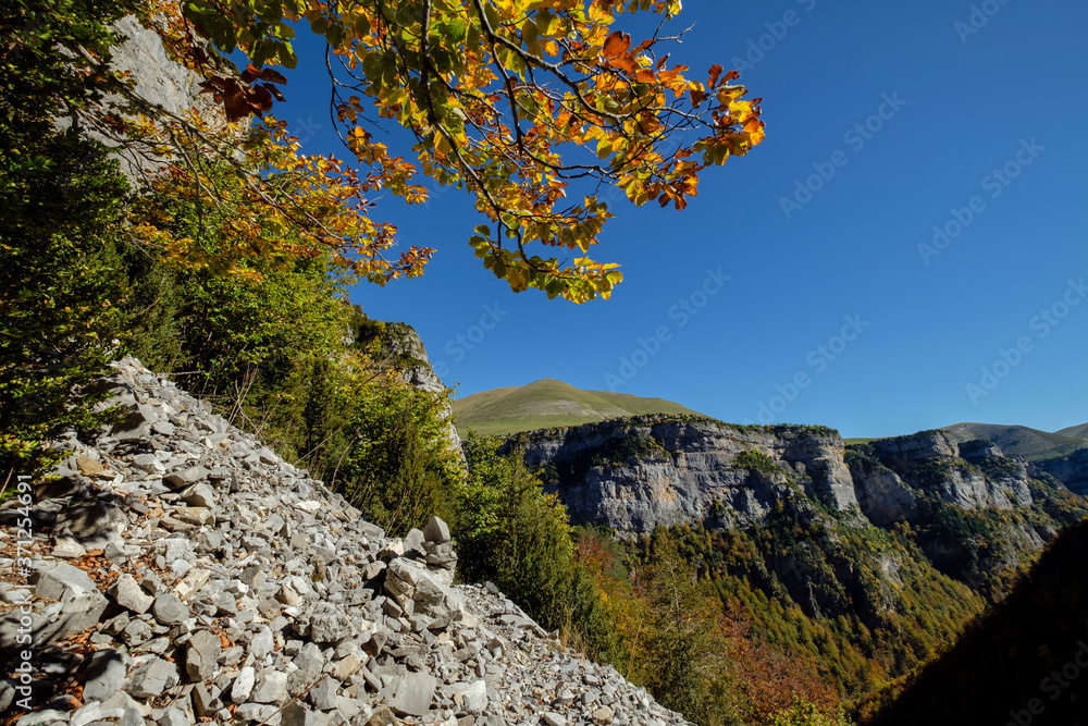 barranco de la Pardina, parque nacional de Ordesa y Monte Perdido, comarca del Sobrarbe, Huesca, Aragón, cordillera de los Pirineos, Spain barranco de la Pardina, parque nacional de Ordesa y Monte Perdido, comarca del Sobrarbe, Huesca, Aragón, cordillera de los Pirineos, Spain
