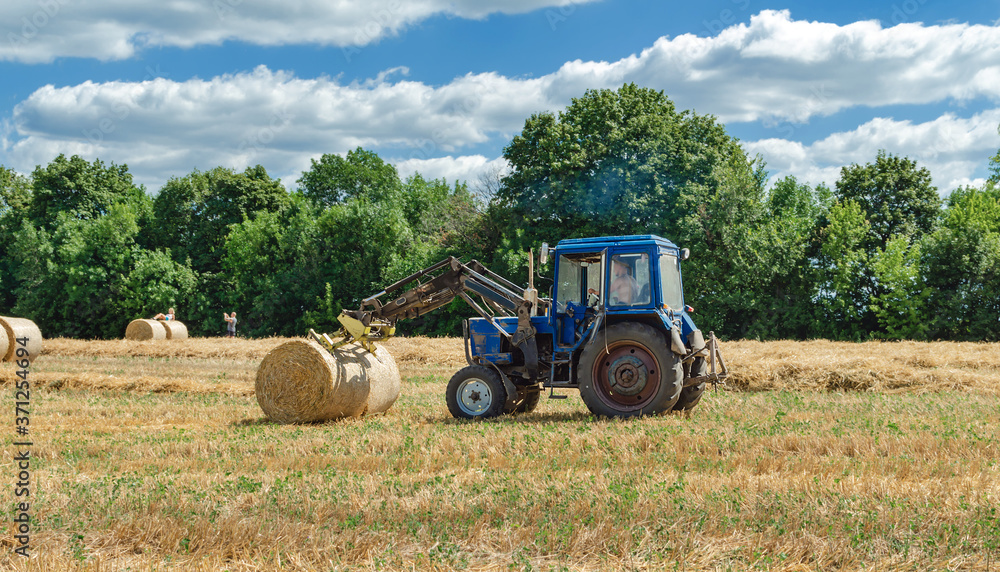 straw in round bales and a tractor in the field straw in round bales and a tractor in the field