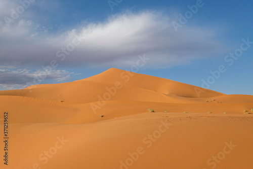 Erg Chebbi dunes, Merzouga, Marruecos, Africa © Tolo