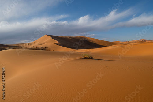 Erg Chebbi dunes  Merzouga  Marruecos  Africa