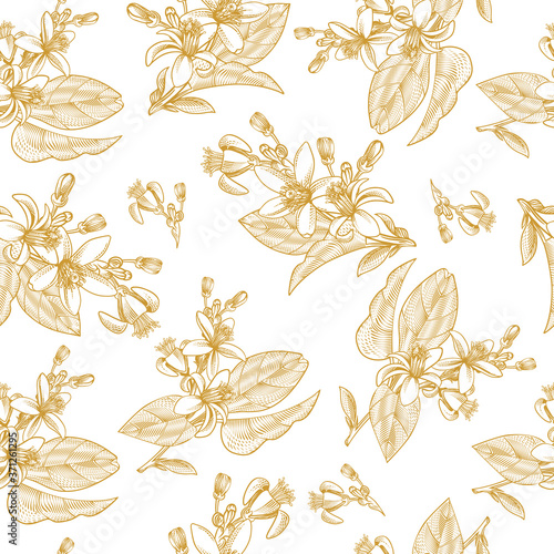 Seamless pattern with ink hand drawn citrus fruit leaves, branches and blooming flowers. Exotic plant branch with engraving vector wallpaper. Botanical drawing sketch of juice packaging, label, menu.