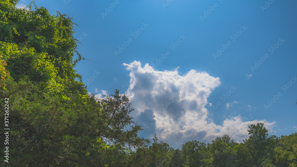 Obraz premium summer lake 17