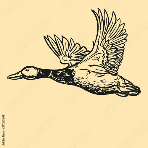 Duck, flying illustration, retro, vintage, linocut design for restaurants, bbq