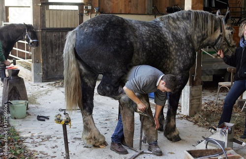 Blacksmith and Percheron, Scraping Hoof