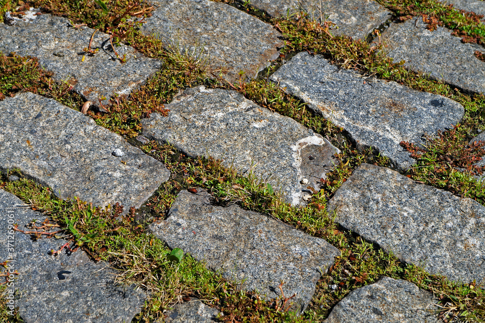 Cobblestone background with grass detail