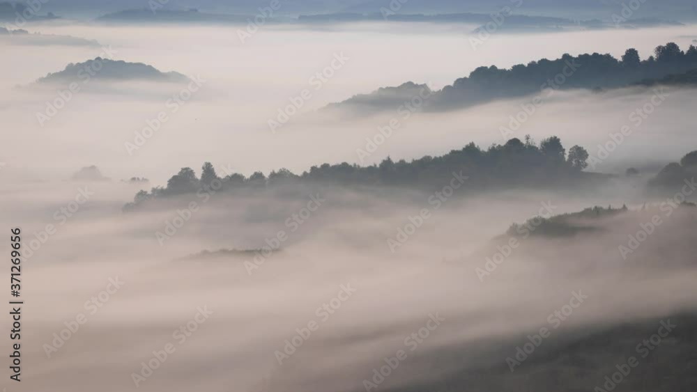 Time lapse of moving fog in dark fir misty forest. Time lapse of moving fog in dark fir misty forest.