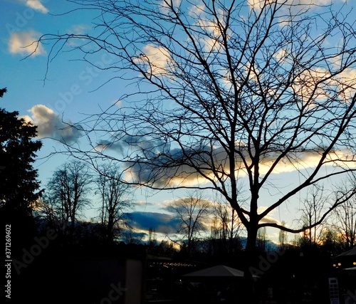 evening light