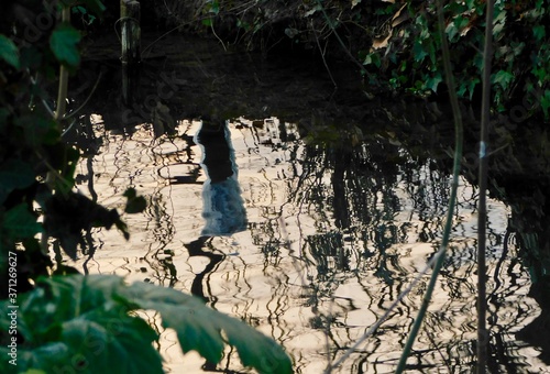 soft light on water