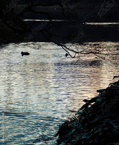 reflections on water