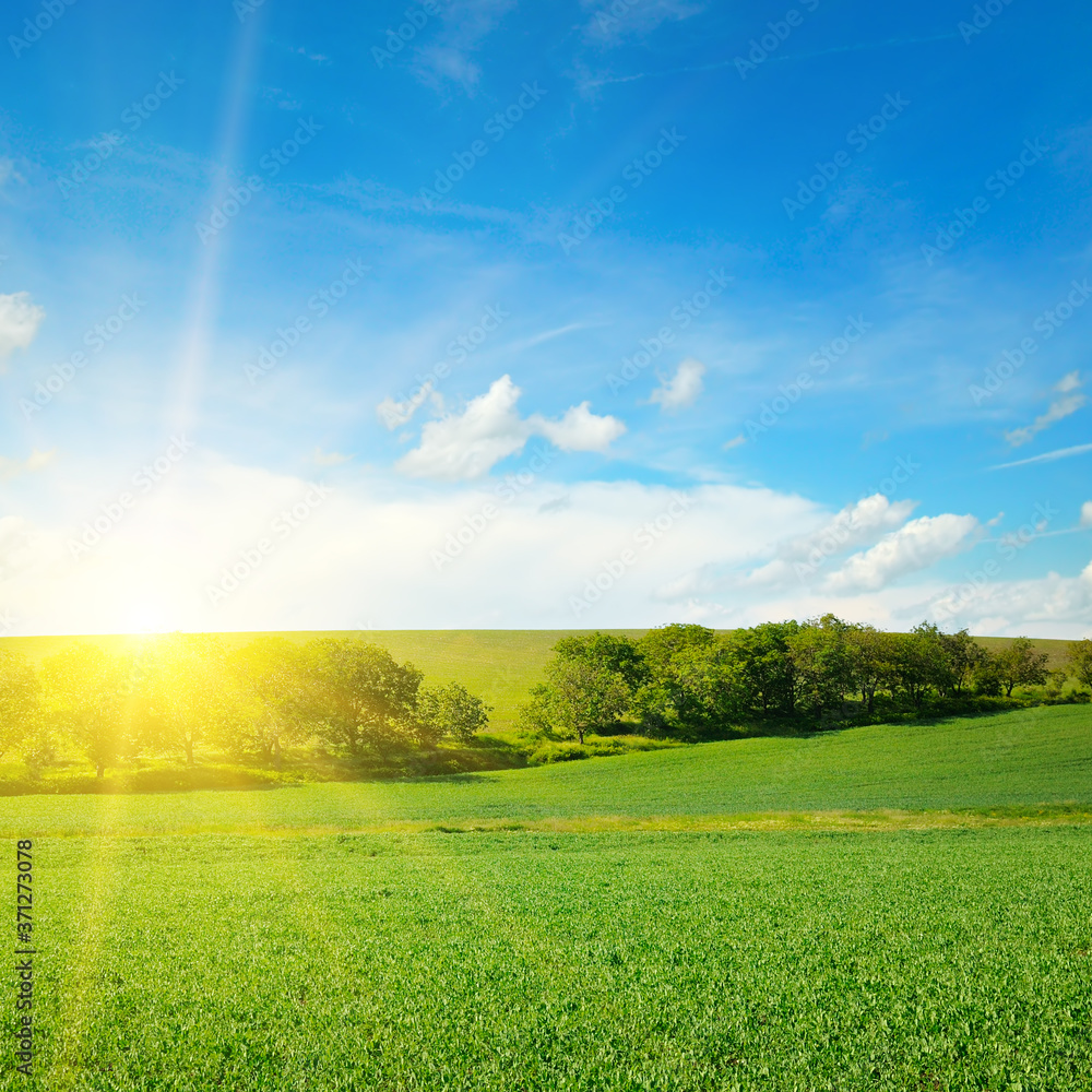 Bright sunrise over green field. Bright sunrise over green field.