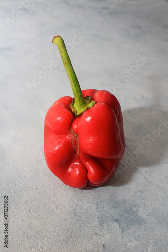Ugly vegetables, red peppers on a gray background