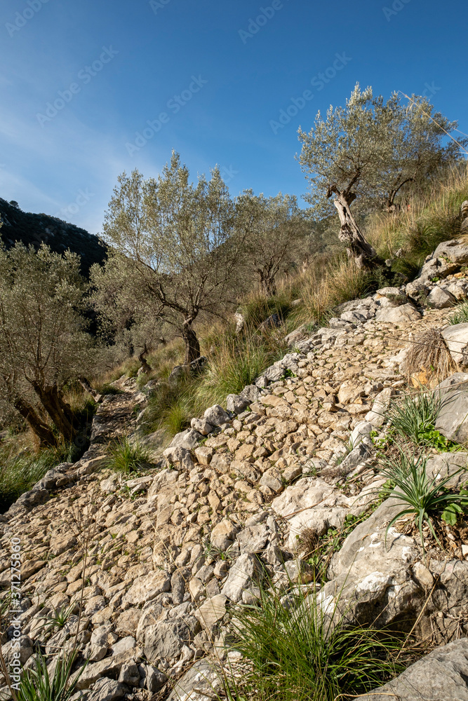 traditional cobblestone road GR221, Es Tossals Verds section, Mallorca, Balearic Islands, Spain
