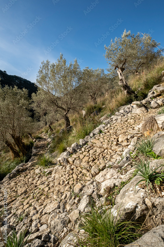 traditional cobblestone road GR221, Es Tossals Verds section, Mallorca, Balearic Islands, Spain traditional cobblestone road GR221, Es Tossals Verds section, Mallorca, Balearic Islands, Spain