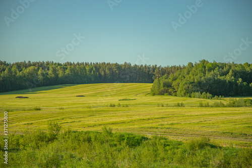 green meadow in front of a wooded hill © FlyVi