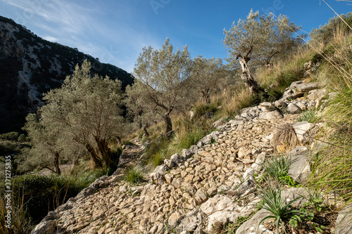 traditional cobblestone road GR221, Es Tossals Verds section, Mallorca, Balearic Islands, Spain photo