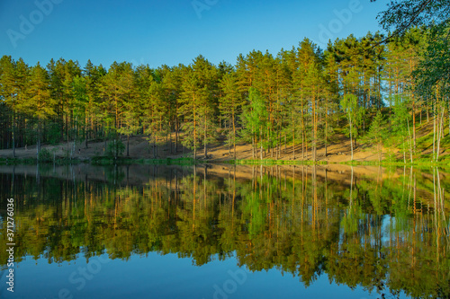 a reservoir surrounded by a pine forest