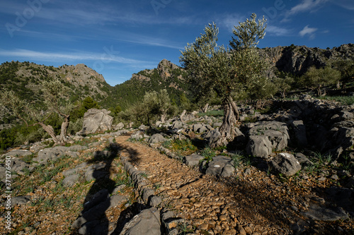 paved path of Balitx, Mallorca, Balearic Islands, Spain
