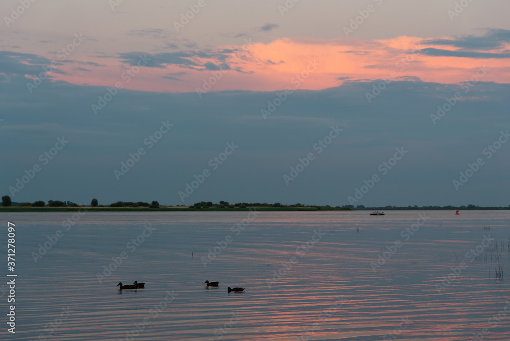 Summer river landscape with reflection of the sunset orange sky in the water and ducks in the foreground