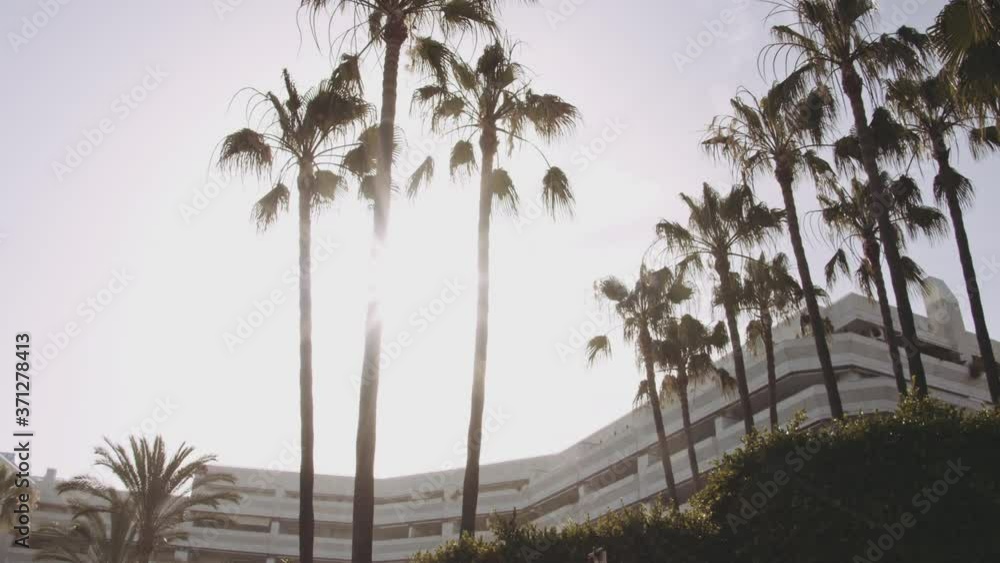 Bright Sky Against Tall Palm Trees and Buildings Bright Sky Against Tall Palm Trees and Buildings