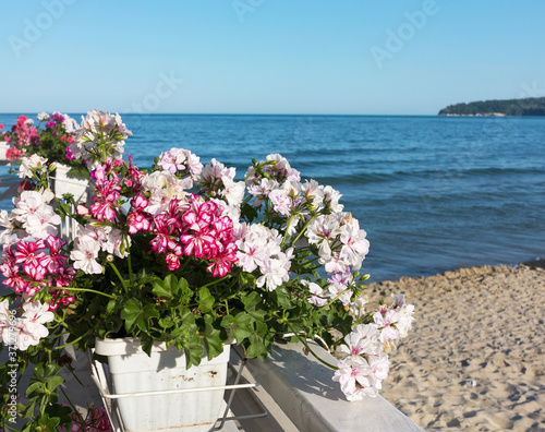 Beautiful flowers geraniums on the balcony of the hotel against sea at Sunny day