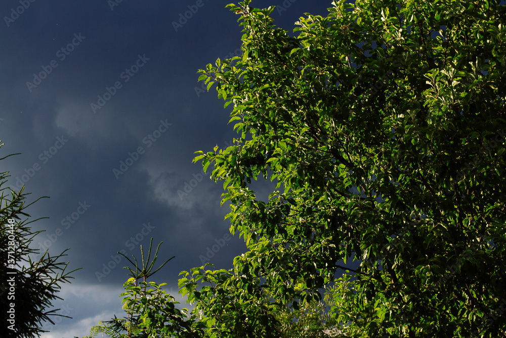 Obraz premium Nature Environment Dark cloud sky. Thunderstorm and hurricane clouds