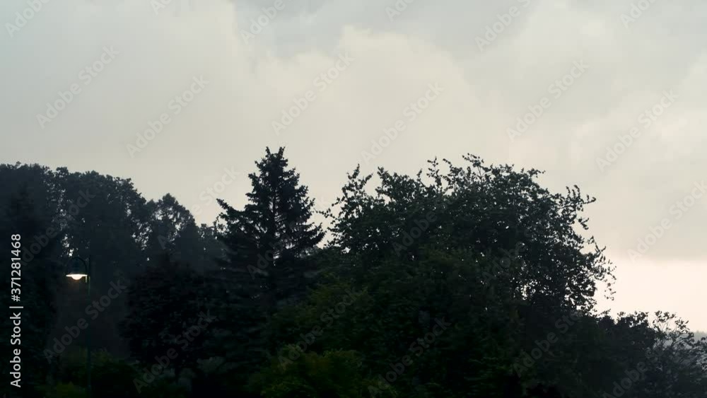 Sturm und Starkregen im Garten, Windboen peitschen hohe Bäume Sturm und Starkregen im Garten, Windboen peitschen hohe Bäume