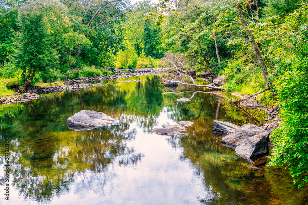 river in the woods with reflections river in the woods with reflections
