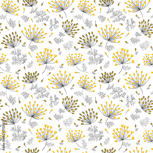 Fennel flowers and seeds white