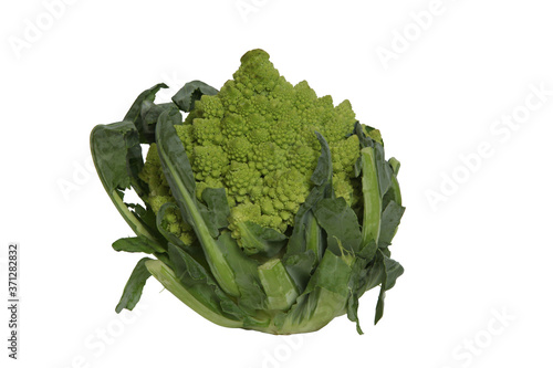 Fresh green vegetable: romanesco broccoli. Isolated photo with romanesco broccoli. Fresh green romanesco broccoli, cabbage with spiral, fractal structure. Edible flower bud of species Brassica olerace photo