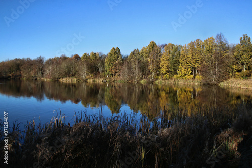 A view of Alderford lake in Shropshire with reflection