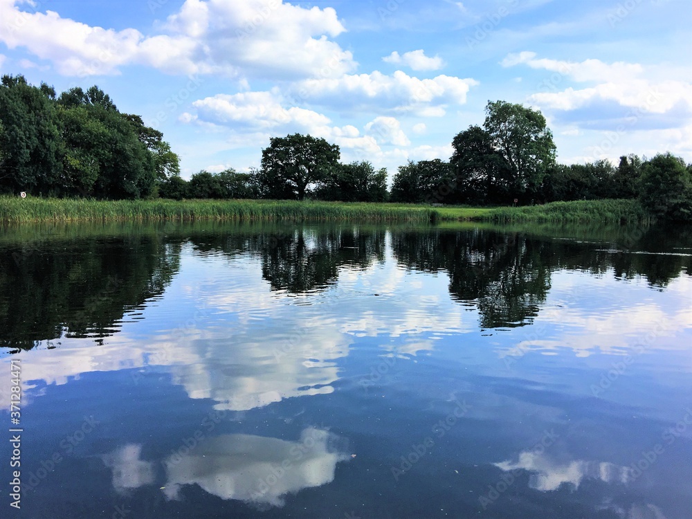 Obraz premium An African Sea Eagle in flight