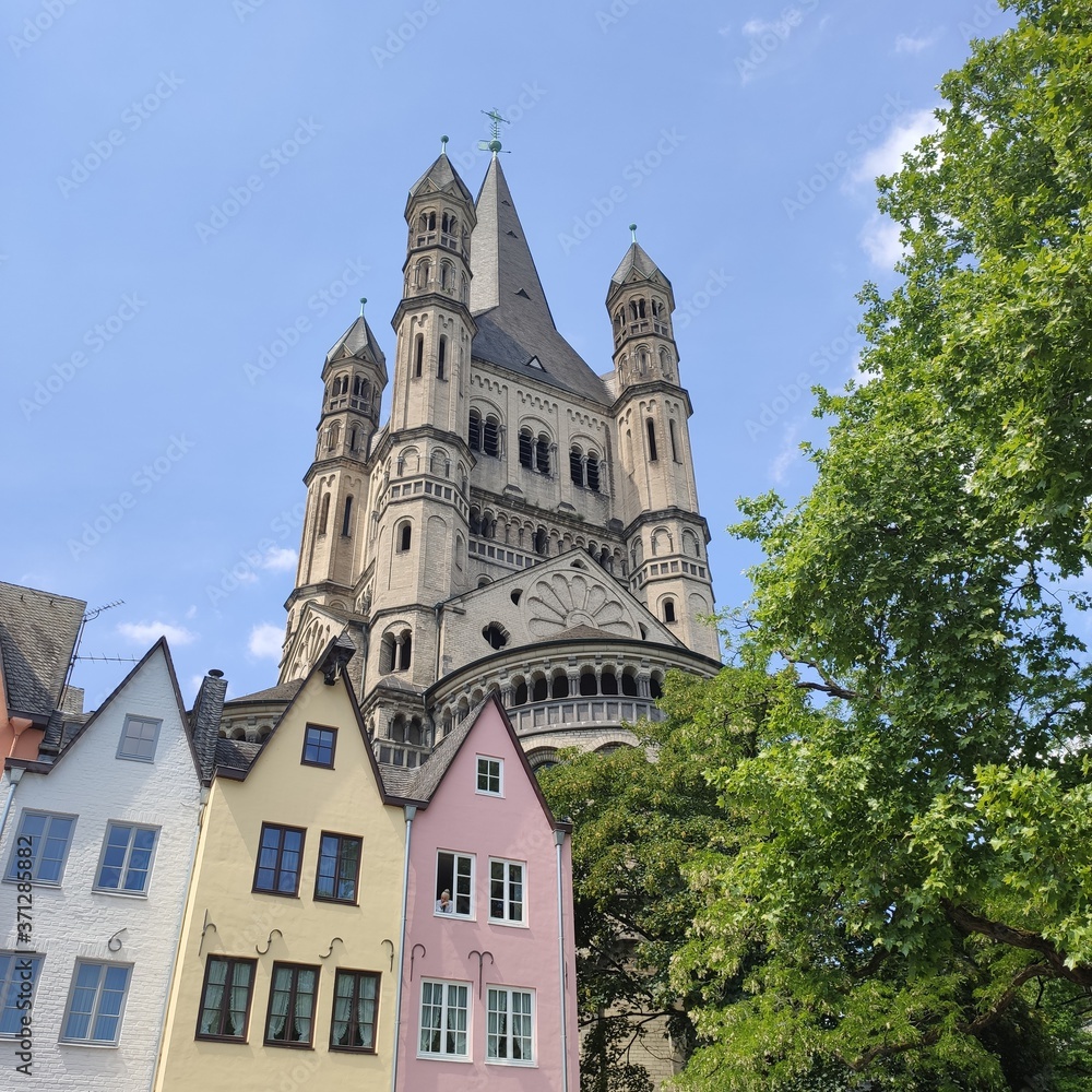 Colorful houses next to a tree and in front of a big church in Cologne