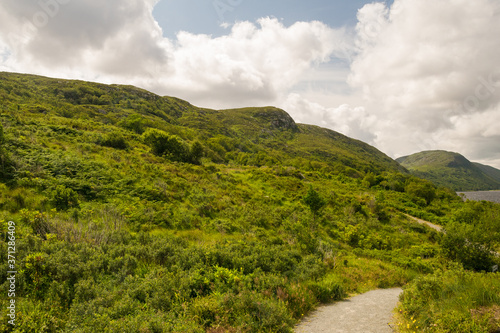 Natura irlandese - panorama