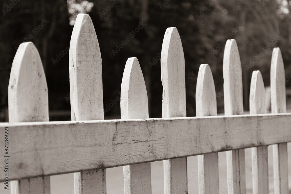white picket fence white picket fence