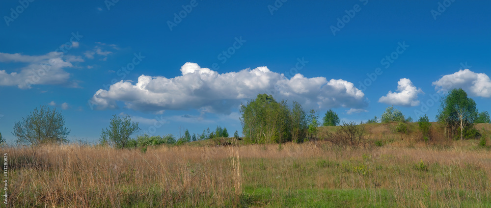 Summer landscape green meadow on a background of forest and cloudy sky.