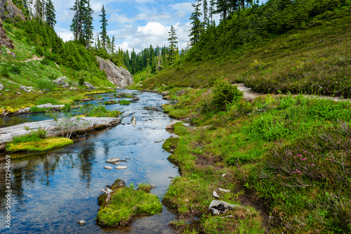 Small Stream Along the Bagley Lakes Trail at Mt. Baker, WA. Two sparkling alpine lakes, an abundance of wildflowers, an impressive mountainous backdrop and this cool clear stream make for a fine hike.