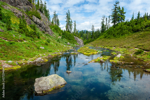 Small Stream Along the Bagley Lakes Trail at Mt. Baker, WA. Two sparkling alpine lakes, an abundance of wildflowers, an impressive mountainous backdrop and this cool clear stream make for a fine hike. © LoweStock