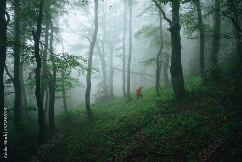 Trail run in misty nature, sport photo in beautiful dark atmosphere.