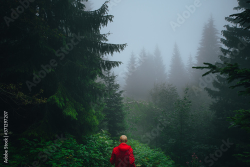 Male Hiker in red misty windbreaker in green summer mountains. Adventure photo. © kovop58