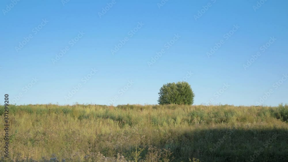 Rural field with single lonely Bush on Horizon under blue sky. High quality 4k footage with copy space. Rural field with single lonely Bush on Horizon under blue sky. High quality 4k footage with copy space.