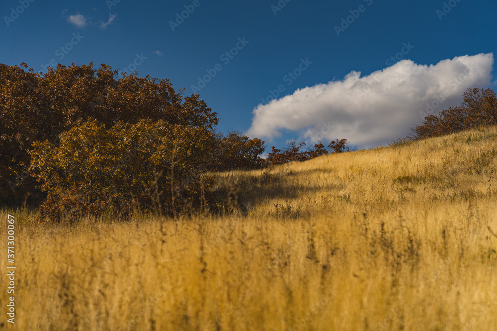 Utah mountains 19