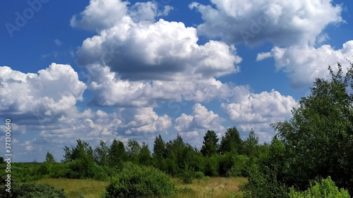 Blue sky with white clouds over the forest and field. Beautiful scenery.