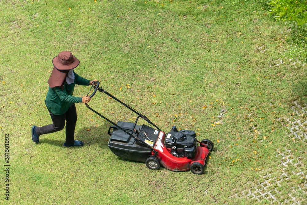 woman worker working pushing grass trimming with a lawnmower woman worker working pushing grass trimming with a lawnmower