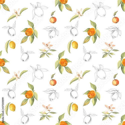 Fresh and light seamless pattern with oranges and lemons on a white background. Watercolor and pen illustration. Nice design for summer and autumn.