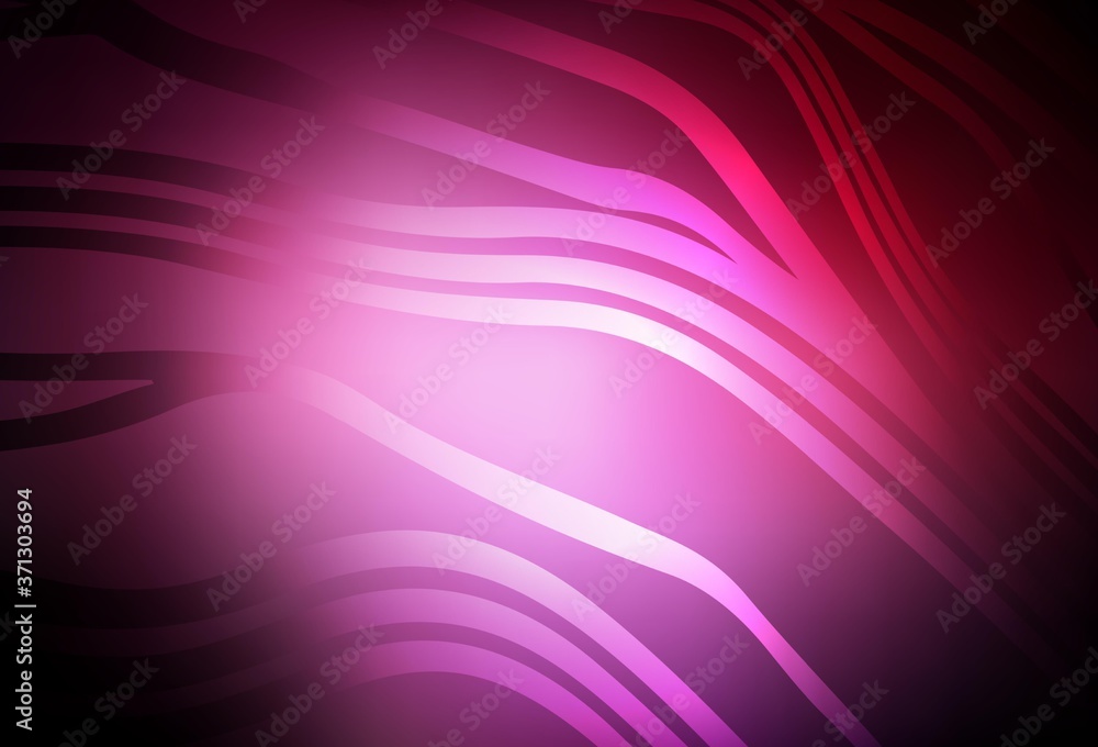 Obraz premium Dark Pink vector backdrop with curved lines.